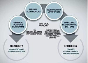 神經(jīng)網(wǎng)絡(luò) 技術(shù)發(fā)展、未來挑戰(zhàn)與網(wǎng)絡(luò)技術(shù)開發(fā)的交匯點(diǎn)