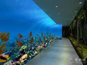 創(chuàng)新科普體驗(yàn) 桂林展覽特裝工廠聯(lián)手植物園打造科普展廳新典范